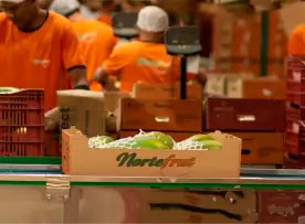 controle de refugo-narte-agro