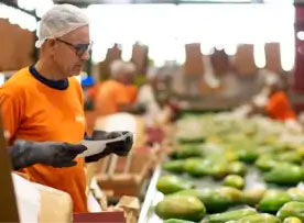 inspeção-narte-agro